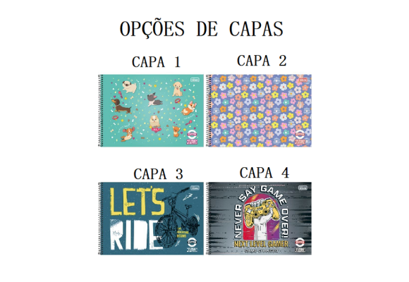 https://www.colegiooficina.papelariapremium.com.br/image/cache/data/eftr/Img_ftr_rp_395601-580x400.PNG