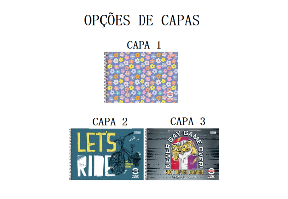 https://www.colegiooficina.papelariapremium.com.br/image/cache/data/eftr/Img_ftr_rp_395701-580x400.PNG