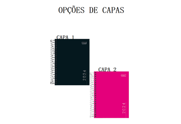 https://www.colegiooficina.papelariapremium.com.br/image/cache/data/eftr/Img_ftr_rp_409301-580x400.PNG